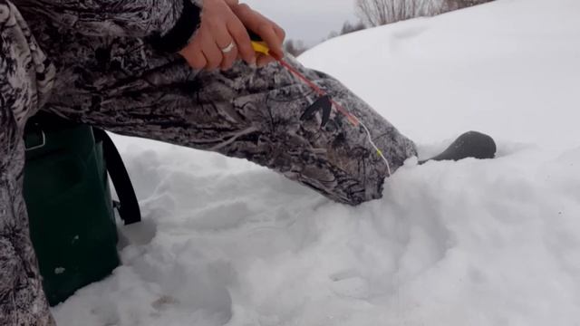 живец на налима смотреть онлайн