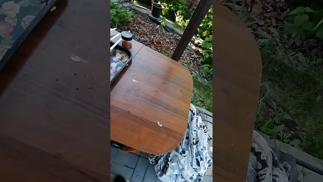 День рождение шашлык и шурпа на костре смотреть онлайн