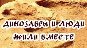 Динозавры и люди жили вместе