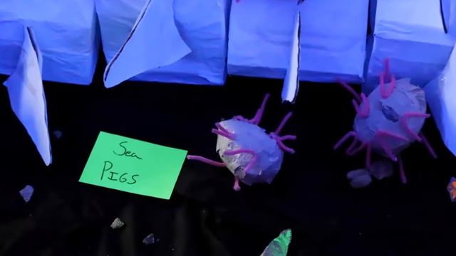 Sixth-grade Deep Sea Museum | Rabun Gap-Nacoochee School смотреть онлайн