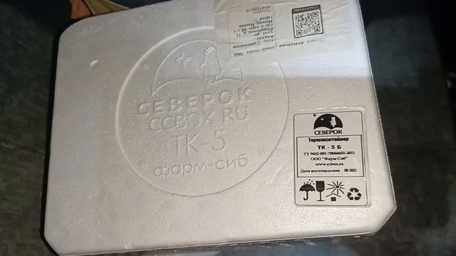 524.😫Тарантул в доме! 🚘🧐Поедем поглядим 🤓🚘 смотреть онлайн