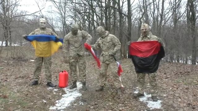 Топ-моменты сюжетов с Еленой Бойко смотреть онлайн