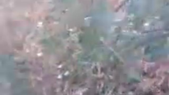 уборка ставрополье смотреть онлайн