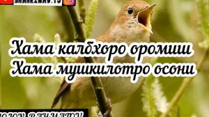 ТАБРИКОТИ МОХИ ШАРИФИ РАМАЗОН #РАМАЗОН #МУБОРАК