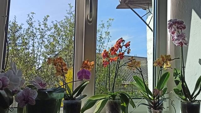 Ганьба такому інтернет магазину,або це моя провина?🤔 смотреть онлайн