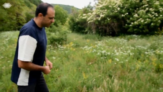 Кратък пътеводител на дивите ядливи растения - Какво може да хапнем на една полянка смотреть онлайн