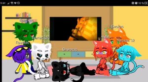 РЕАКЦИЯ КОТОВ ИЗ БИСКАСА! (ЧИТАТЬ ОПИСАНИЕ!!)