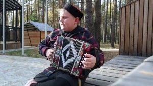 Когда бы имел златые горы.. под гармонь