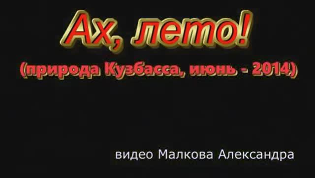 ВИДЕОФИЛЬМЫ АЛЕКСАНДРА МАЛКОВА:  Ах, лето! (Природа Кузбасса, июнь)