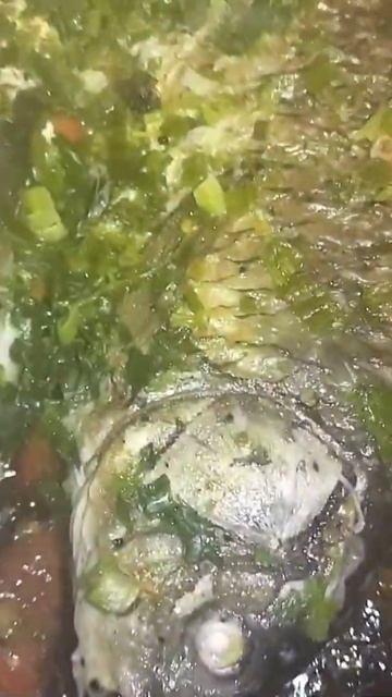 Carp with greens and tomatoes!! Bon appetite!! (Сазан с зеленью и помидорами!! Бон аппетит !!) смотреть онлайн