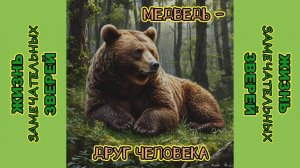 Медведь - друг человека