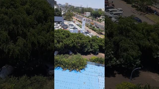 Hotel Citrus смотреть онлайн