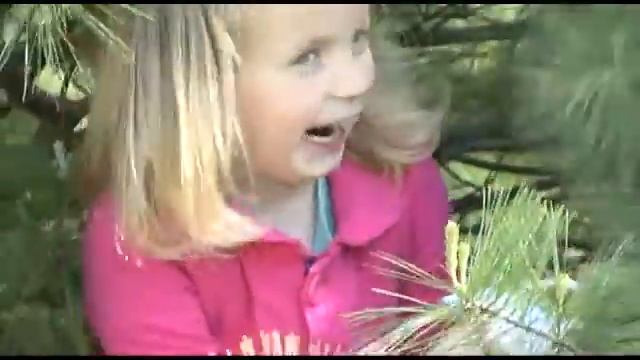 Learning Resources Jumbo Jungle Animals смотреть онлайн