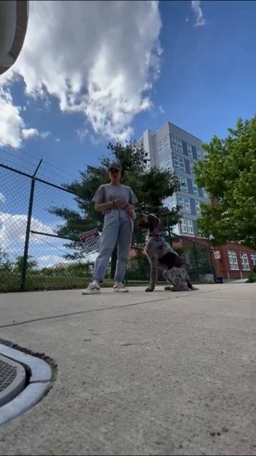 Recall 101 смотреть онлайн