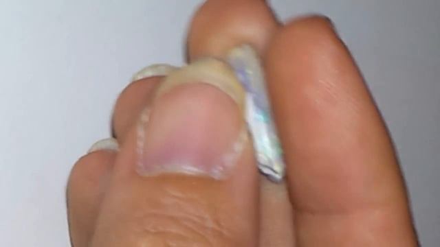 Opal Belemnit Fossil