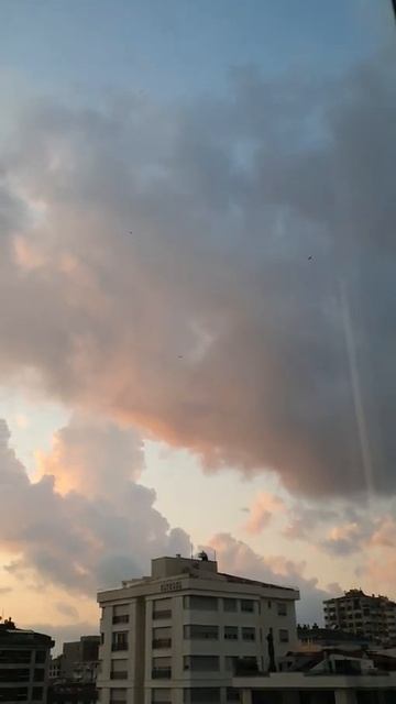 #shorts  Юра Шатунов Розовый вечер