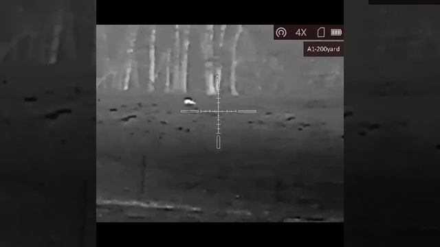 AGM Rattler TS35- 384 Thermal coyote hunting смотреть онлайн