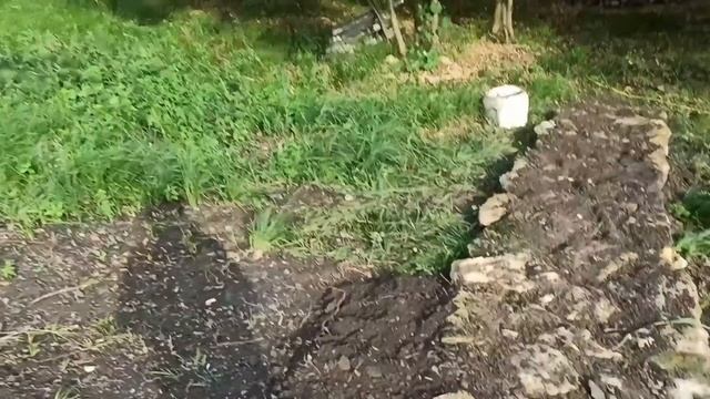 Хроника дачной жизни ,12.13.14 июля 2022г.