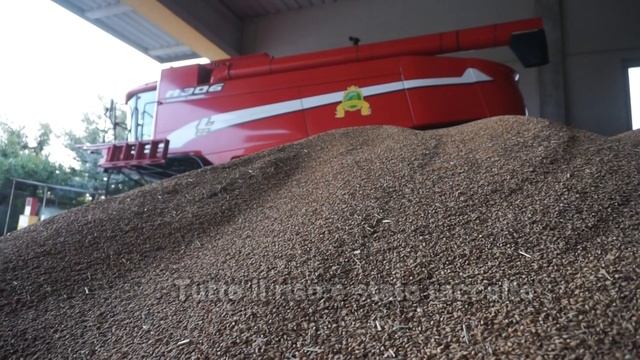 E' terminata la raccolta 2018 del Riso Melotti смотреть онлайн