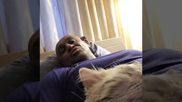 Вредна ли фармакология!!!Только польза мужскому организму,если делать все с умом!Ответ подписчикам смотреть онлайн