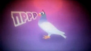 Цыпленок пио VS Το πουλακι τσιου