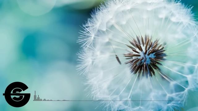 [Drum N' Bass] Grafit - Awesome