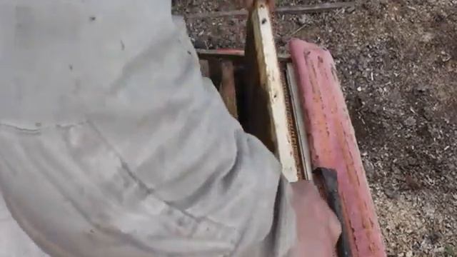 Осмотр и расширение отводка пчел в сельском туризме в Украине смотреть онлайн