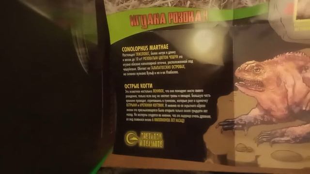 АСМР и игуаны смотреть онлайн