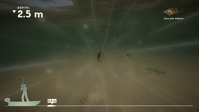 Rapala Fishing: Pro Series PS4 Classic Catch Trophy