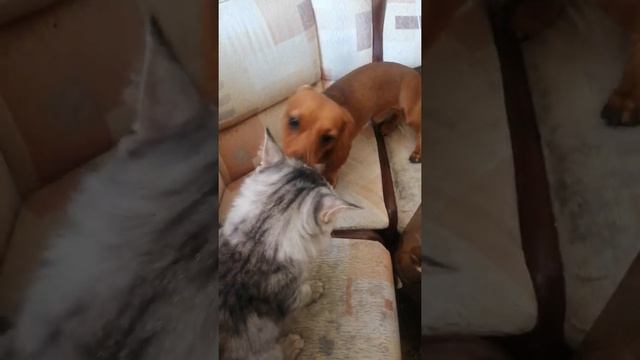 Давай играть смотреть онлайн