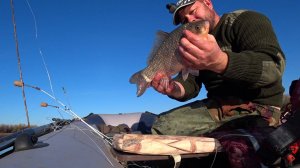 БЕШЕНЫЙ КЛЕВ КИЛОГРАММОВЫХ КАРАСЕЙ.Рыбалка в астрахани на волге.