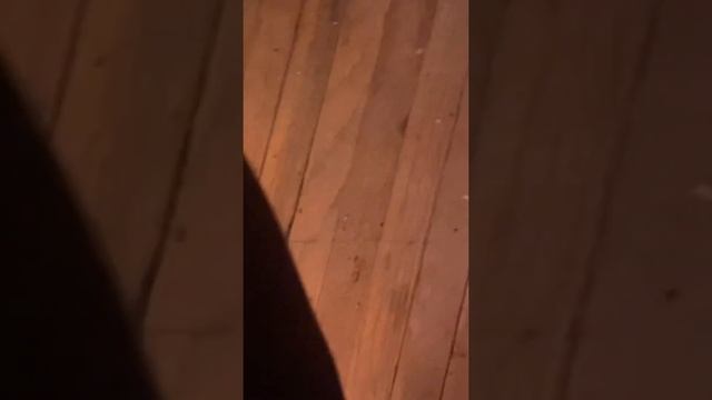 TRIGGER WARNING! Narcissistic Dad & Mom Caught On Camera pt1. (Gaslighting and projecting) смотреть онлайн