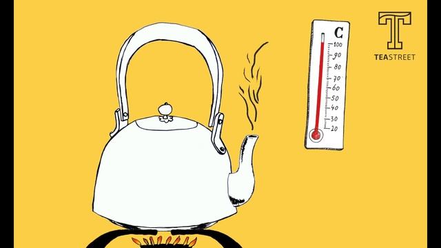 Hoe Zet Je Losse Thee In Een Thee Thermosbeker?