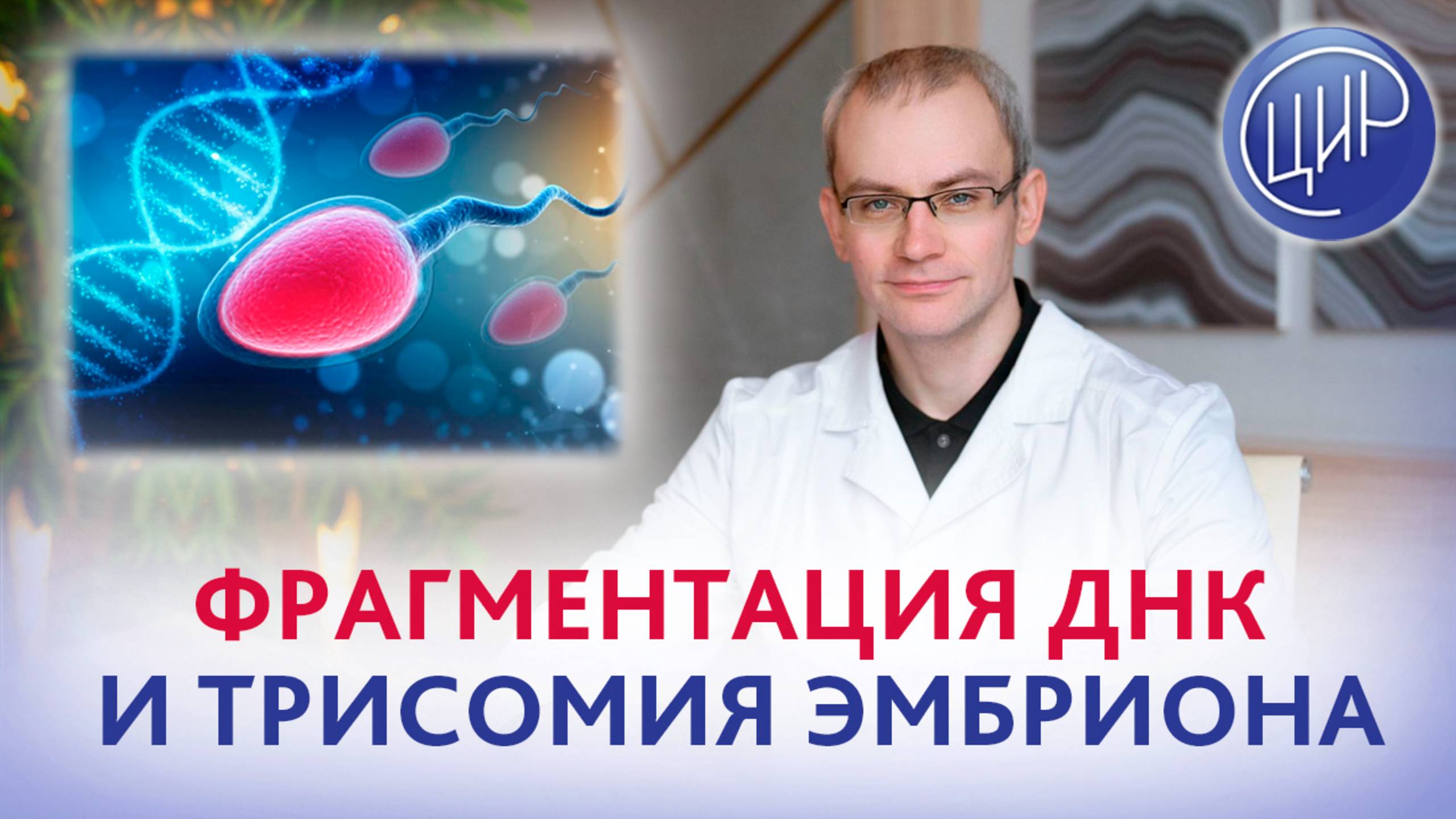 Фрагментация ДНК сперматозоидов и трисомия эмбриона. Есть ли связь? смотреть онлайн
