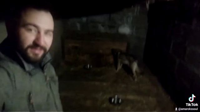 Влчачьи ласки смотреть онлайн