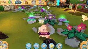 •Август• Обновление|Азиатские львы| Набор ”Кошачий Прайд“| 8 летие #animaljam