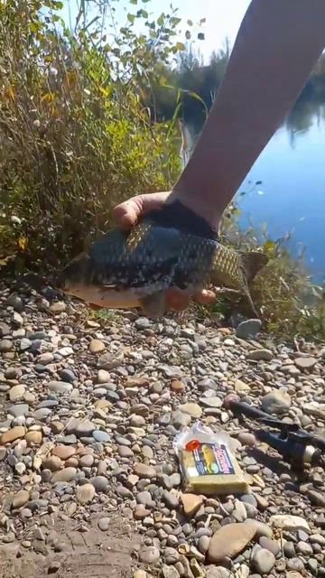 18 сентября 2023 г. смотреть онлайн