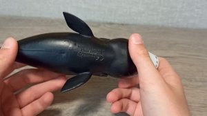 Обзор collecta гренландский кит