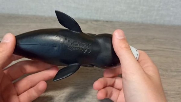 Обзор collecta гренландский кит