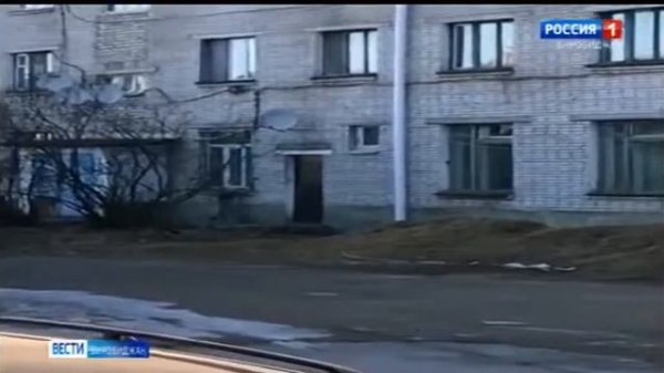 В Биробиджане застрелили рысь