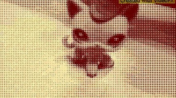 lps клип АА АААА ромама