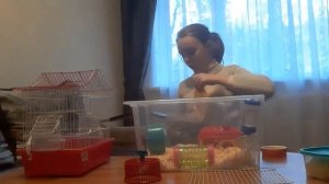 Переселение  хомяка🐹🐹🐹 в новый дом🏘