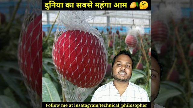 दुनिया का सबसे महंगा आम || World's Costliest Mango || कीमत 2 लाख रुपये || #shorts ||Amazing facts | смотреть онлайн