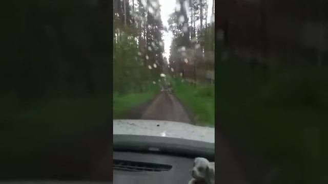 Развезло дорогу в деревню Мишина/ Www.serovglobus.ru