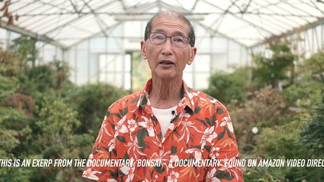 An Interview with Peter Chan - Bonsai Master смотреть онлайн