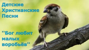 Детские христианские песни Бог любит малых воробьёв