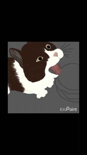 Hey kitty you can have this cheeseburger 🍔 (video idea from @Exify-zt3qg) #funnyshorts #cat #drawn смотреть онлайн