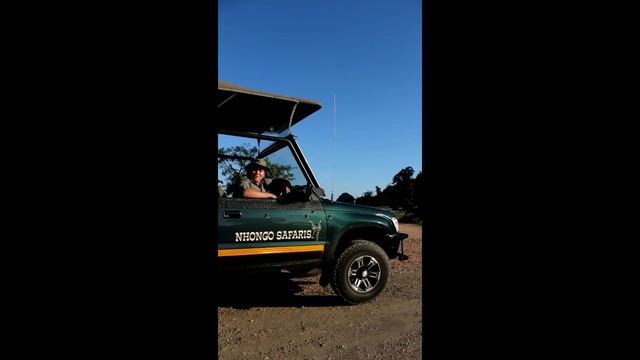 Video Blog on the Grey Hornbill смотреть онлайн