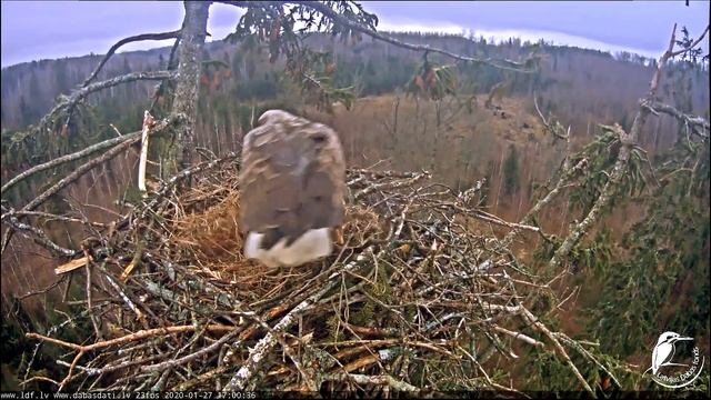 посетители M@R 27,29 января смотреть онлайн