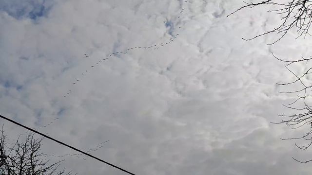 Вяликая Слива это деревня в которой продается дом за 3000$ смотреть онлайн